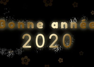 Bonne année 2020